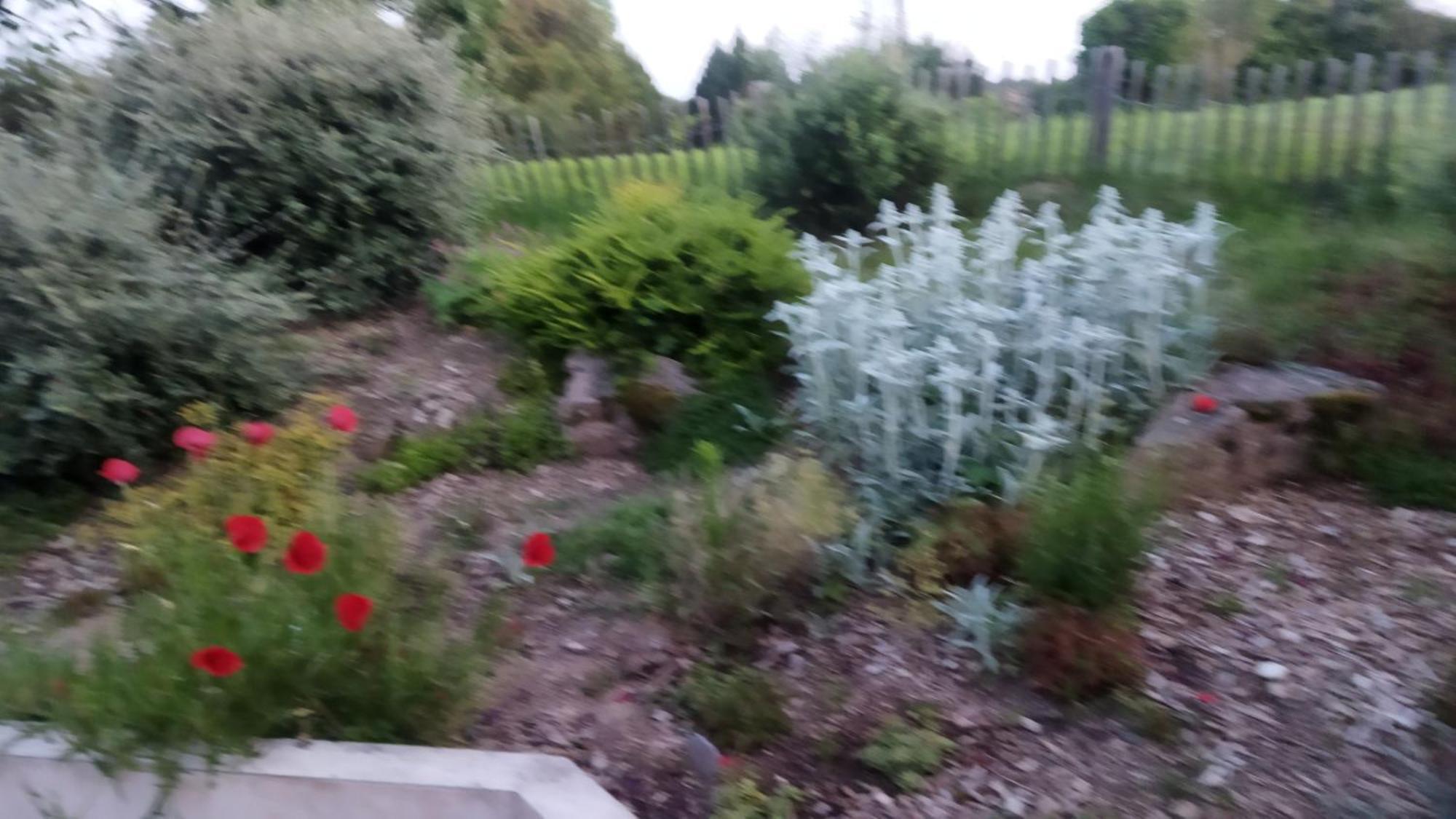 Dommartin  Chambre Dans Un Ecrin De Verdure מראה חיצוני תמונה